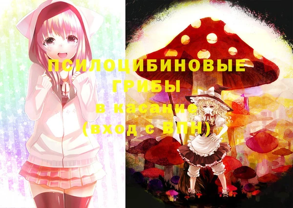 спиды Алексеевка