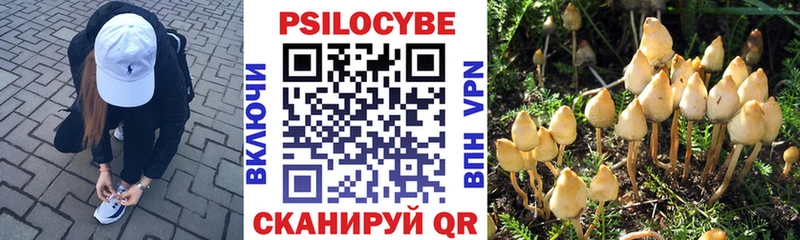 Купить закладки  Ильский  Псилоцибиновые грибы мухоморы 
